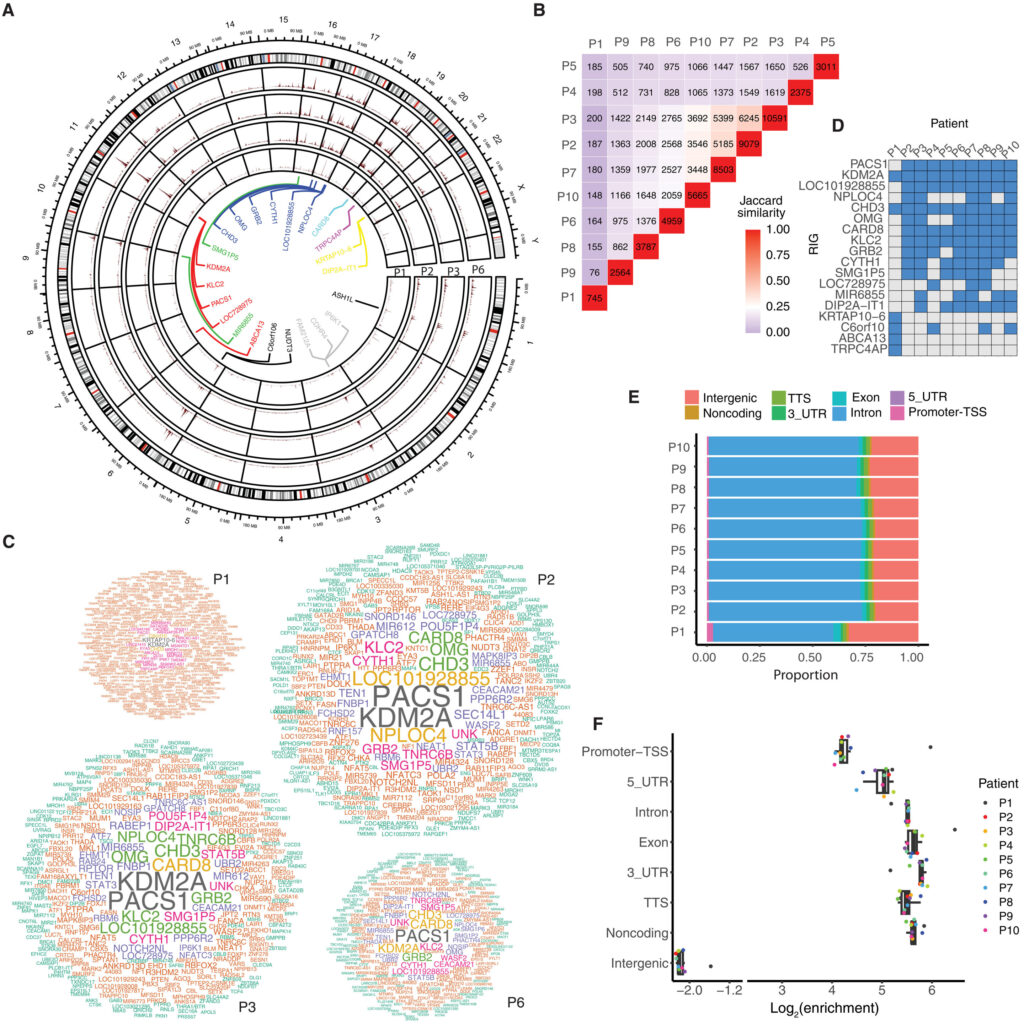 3D genome architecture influences SCID-X1 gene therapy success