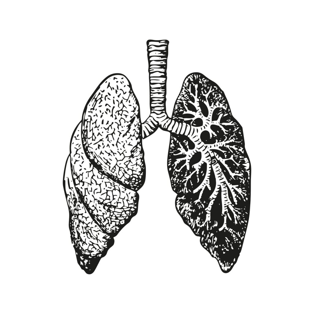 Editorial: Lurbinectedin for neuroendocrine tumors