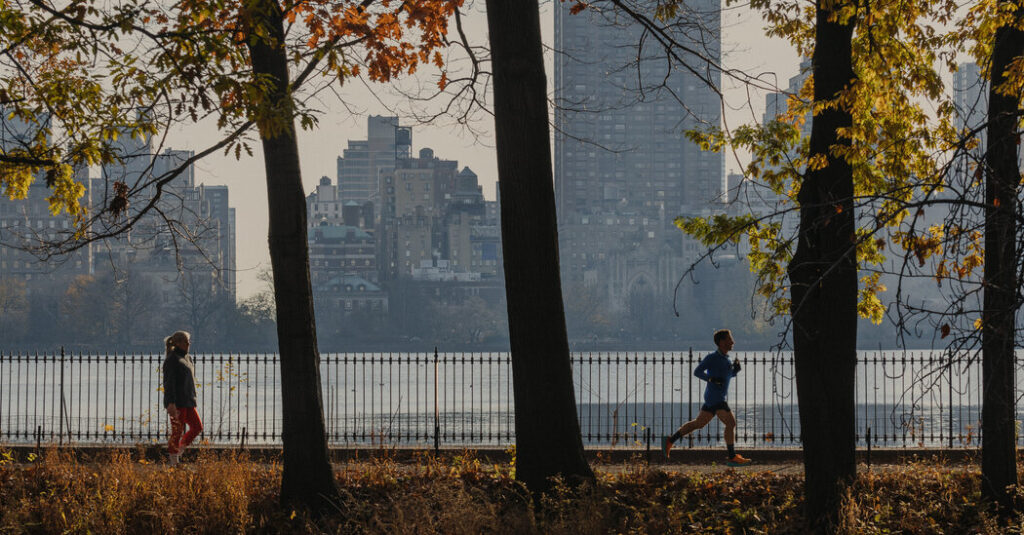 Fall is the Best Season for Running. Try a 5K or 10K.