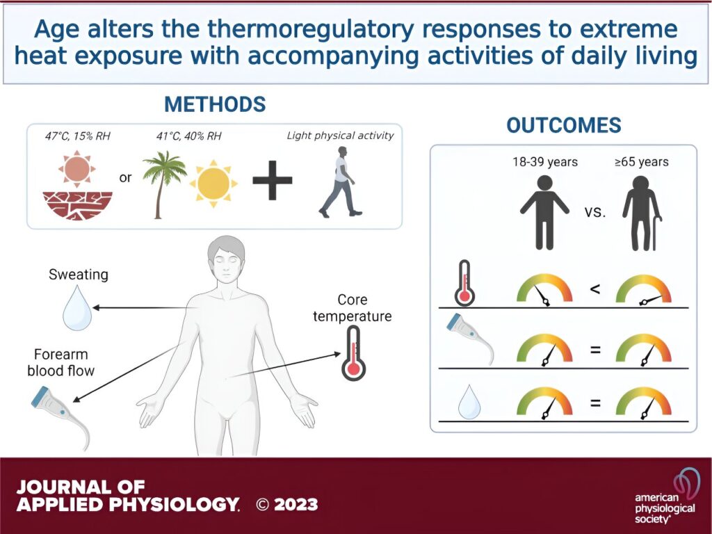 Older adults show greater increase in body temperature in simulated heat wave than previously reported