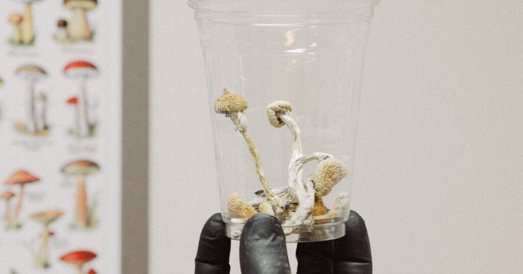 Psychedelic Mushrooms Hit the Market in Oregon