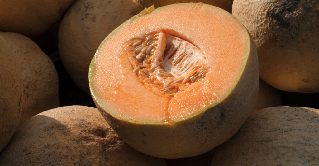 Cantaloupes Linked to Deadly Salmonella Outbreak, U.S. Says