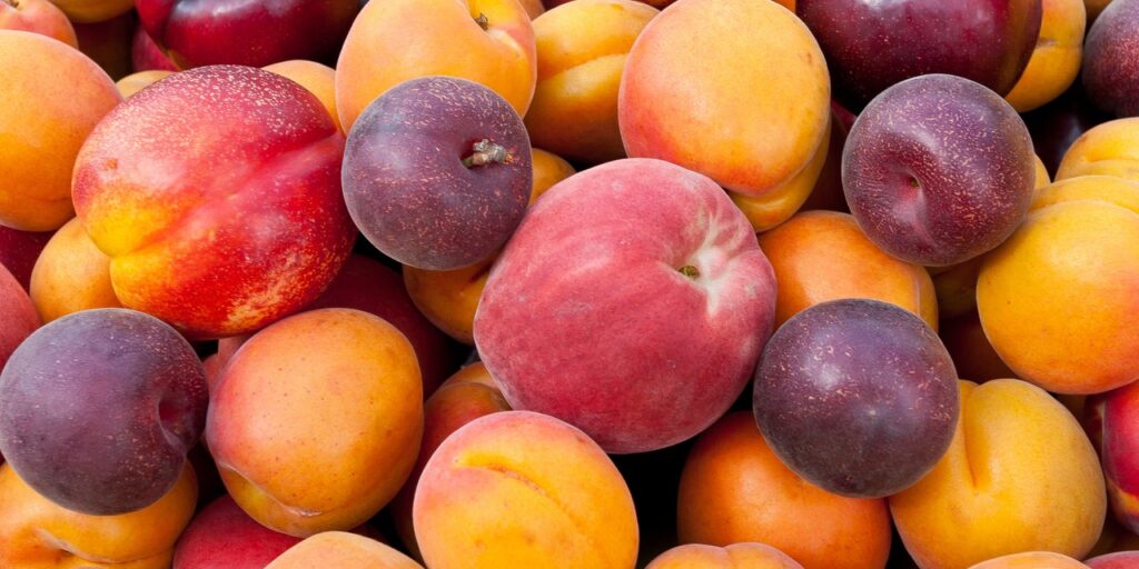 Peaches, Plums, and Nectarines Recalled Nationwide Due to Listeria Outbreak