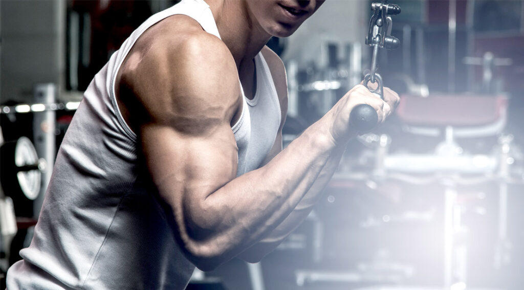 3 Reasons To Never Neglect Your Tricep Training